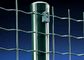 SGS Pvc Coated Holland Wire Mesh Fence Welded Mesh Rolls Untuk Bukti Cuaca Halaman