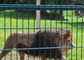 Kawat Baja Non Karat Dilas Kebun Binatang Kandang Hewan Wire Mesh 10m-30m