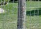 30m tahan lama kawat las pagar gulung dukungan untuk tanaman