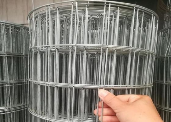 Industri 304 Stainless Steel Dilas Wire Mesh Roll ASTM ISO9001 Standar