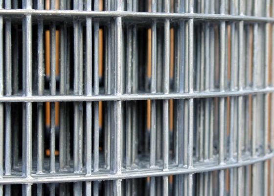 50X50 Galvanized Welded Wire Mesh Rolls 6 Pagar Kawat Kaki Gulungan Bukti Abrasi