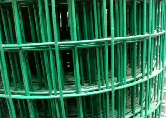 50X50 Galvanized Welded Wire Mesh Rolls 6 Pagar Kawat Kaki Gulungan Bukti Abrasi