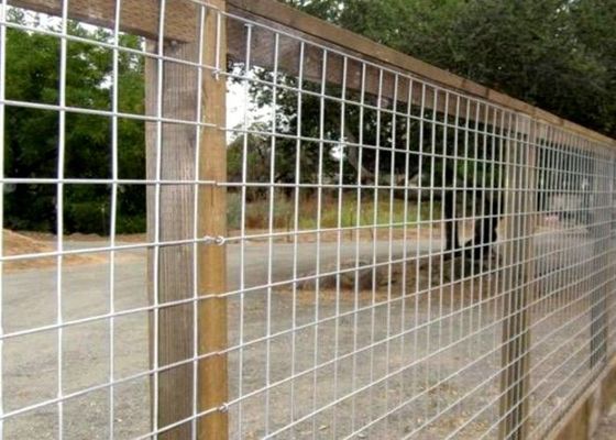 Wire Mesh Las Galvanis Dicelup Panas Di Bidang Pertanian Dan Peternakan