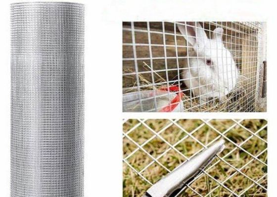 Jaring Kawat Las Stainless Steel 15m 20m 30m Digunakan sebagai Kandang Unggas atau Pagar