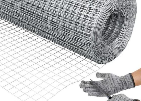 Galvanized Welded Wire Mesh Dengan Cat Plastik Pelindung