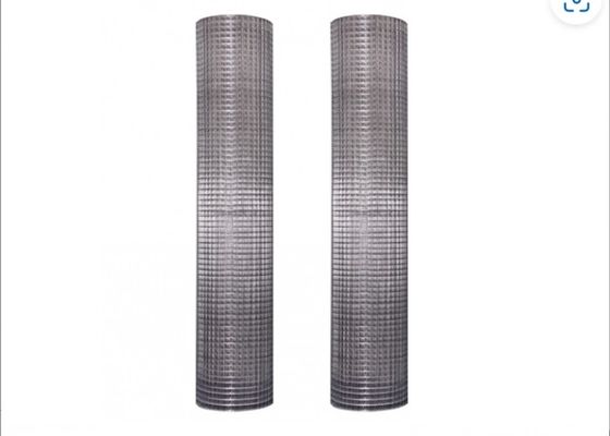 Galvanized Welded Wire Mesh Dengan Cat Plastik Pelindung