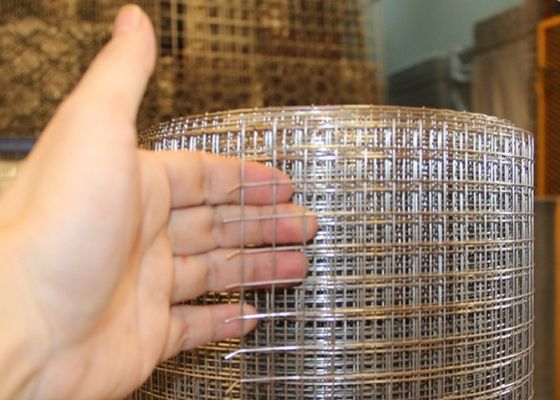 Galvanized Welded Wire Mesh Dengan Cat Plastik Pelindung