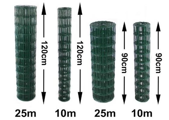 Korosi tahan PVC Lapisan Welded Wire Mesh dengan Diameter Wire 0.5mm-6.0mm