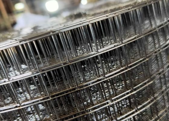 Green Galvanized Welded Mesh Rolls Untuk Perkuat Beton