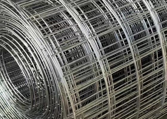 Green Galvanized Welded Mesh Rolls Untuk Perkuat Beton