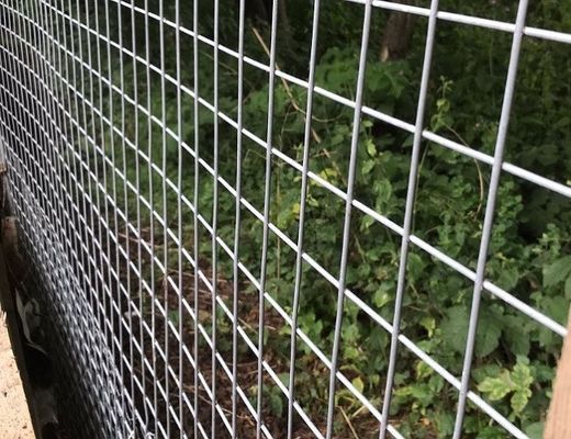 Rol Mesh Las Galvanized Hot Dip tahan lama untuk kandang hewan