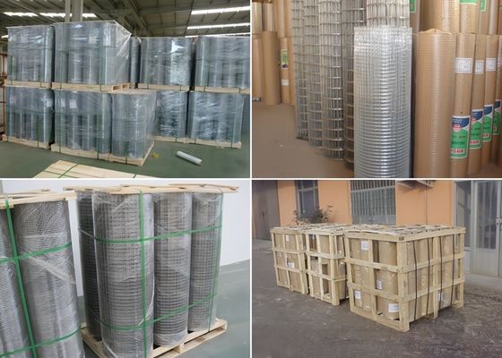 Rol Mesh Las Galvanized Hot Dip tahan lama untuk kandang hewan