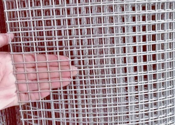 Elektro Galvanized Welded Wire Mesh dengan 50M roll panjang dan 0,5m lebar untuk kandang hewan