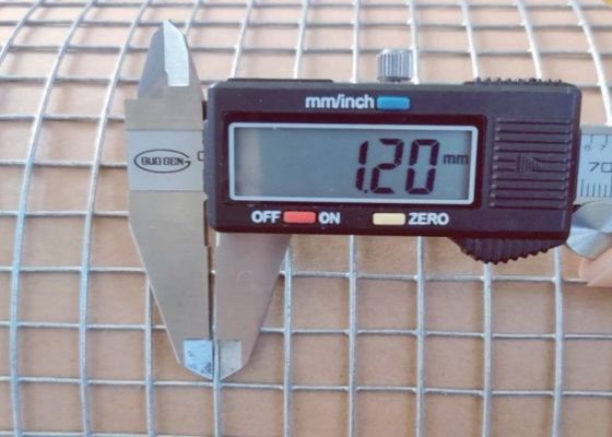 Elektro Galvanized Welded Wire Mesh dengan 50M roll panjang dan 0,5m lebar untuk kandang hewan