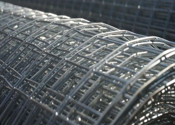 1mm-3mm Hot Dipped Galvanized Welded Wire Mesh Kandang Hewan Wire Mesh Tahan Karat