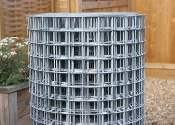 50X50 Galvanized Welded Wire Mesh Rolls 6 Pagar Kawat Kaki Gulungan Bukti Abrasi