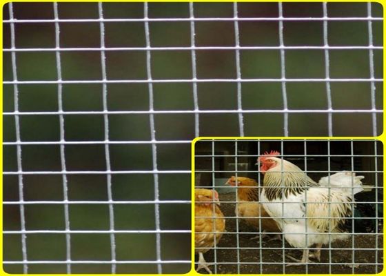 1/2''X 1/2'' Stainless Steel Welded Mesh Rolls Untuk Perlindungan Pemuliaan Kekuatan Tinggi