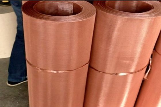 Kekuatan Tinggi Dan Ketangguhan Woven Wire Mesh Screen Perunggu Fosfor
