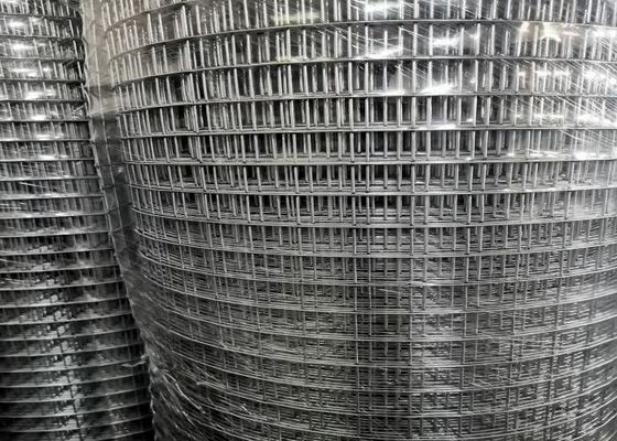 Oem Galvanized Putih Las Mesh Rolls 25.4mm X 25.4mm