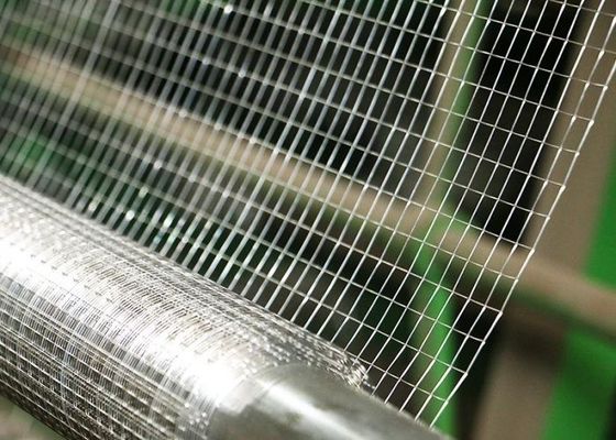 15m Welded Mesh Rolls Edge lurus 60cm Lebar 12 Gauge